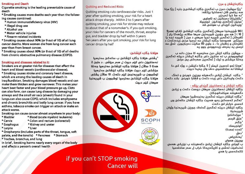 Workshop 1 Smoking and Health